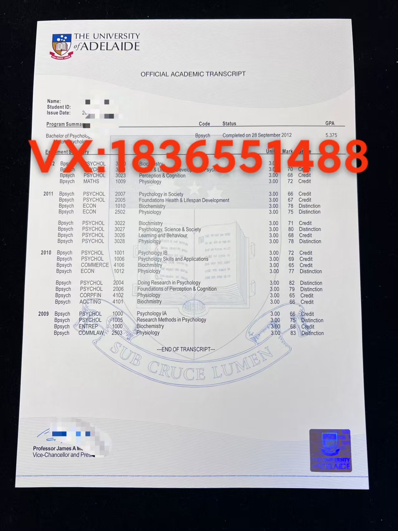 阿德莱德大学成绩单 样版展示