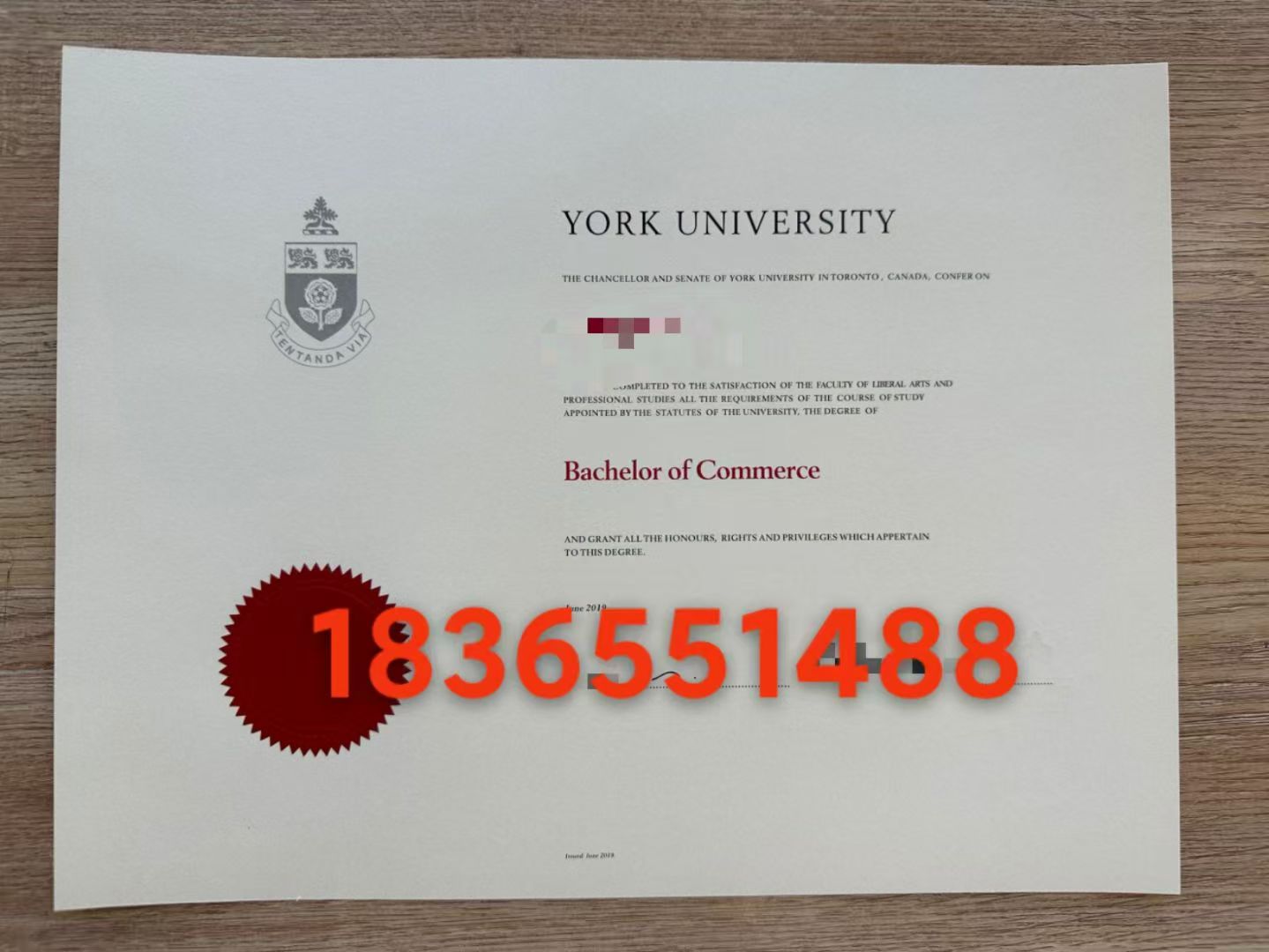 加拿大约克大学毕业证 样版展示