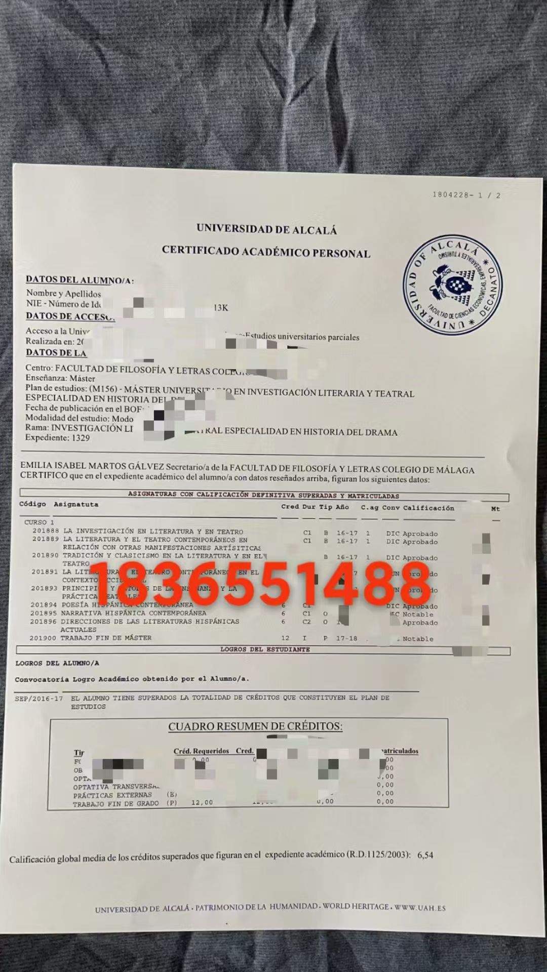 西班牙阿尔卡拉大学 成绩单 样版展示